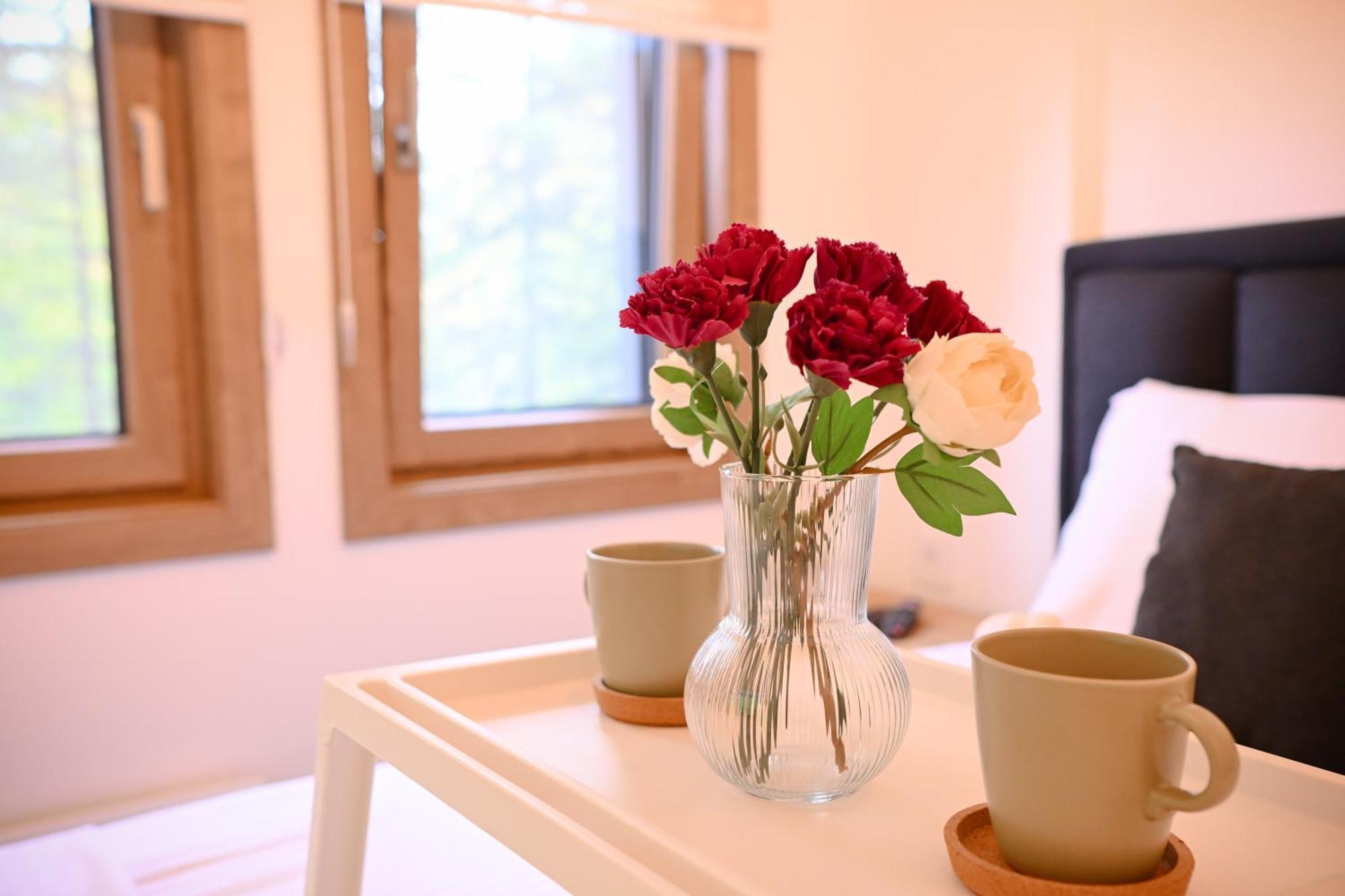 Apartment 3s Zlatibor