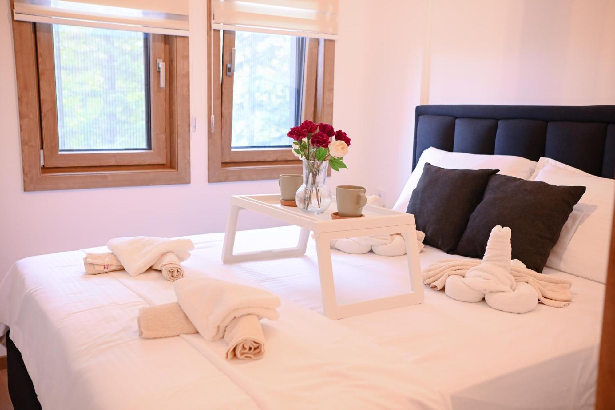 3s Apartment Zlatibor